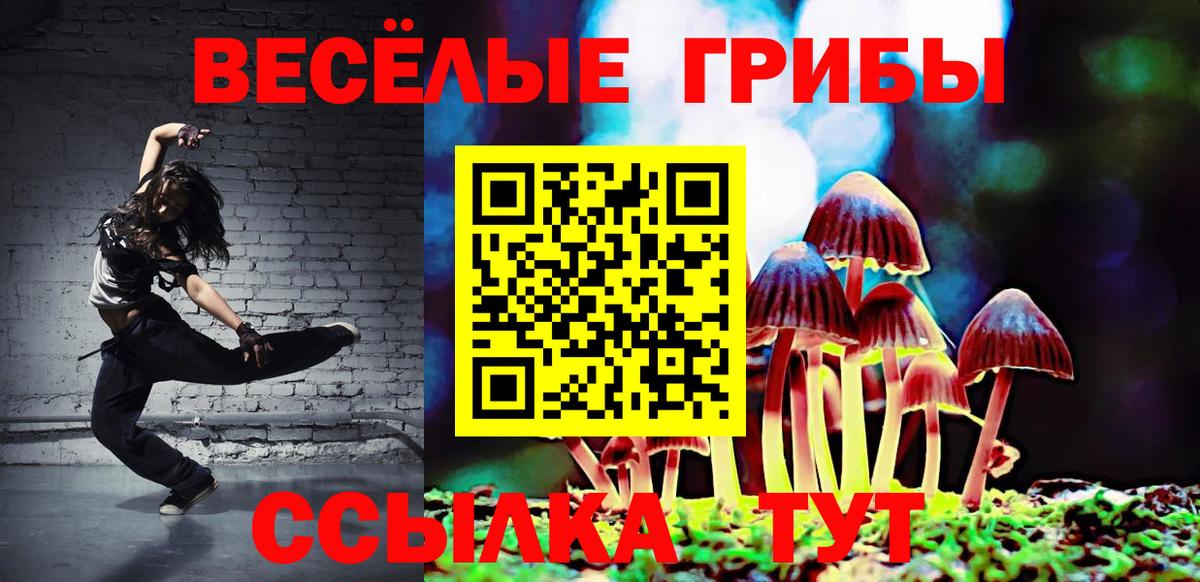 Псилоцибиновые грибы мицелий Новошахтинск