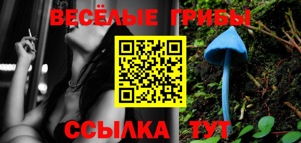 Псилоцибиновые грибы GOLDEN TEACHER  Псилоцибиновые грибы GOLDEN TEACHER  Вход с VPN  Новошахтинск 